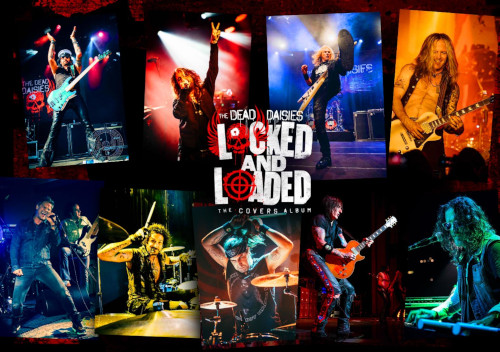 dead daisies