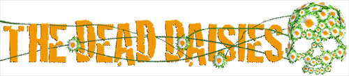 dead daisies